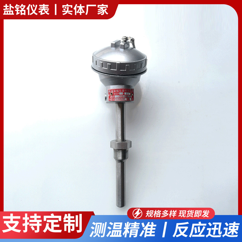 搅拌站用PT100热电阻 六线制四线制双支铠装热电阻