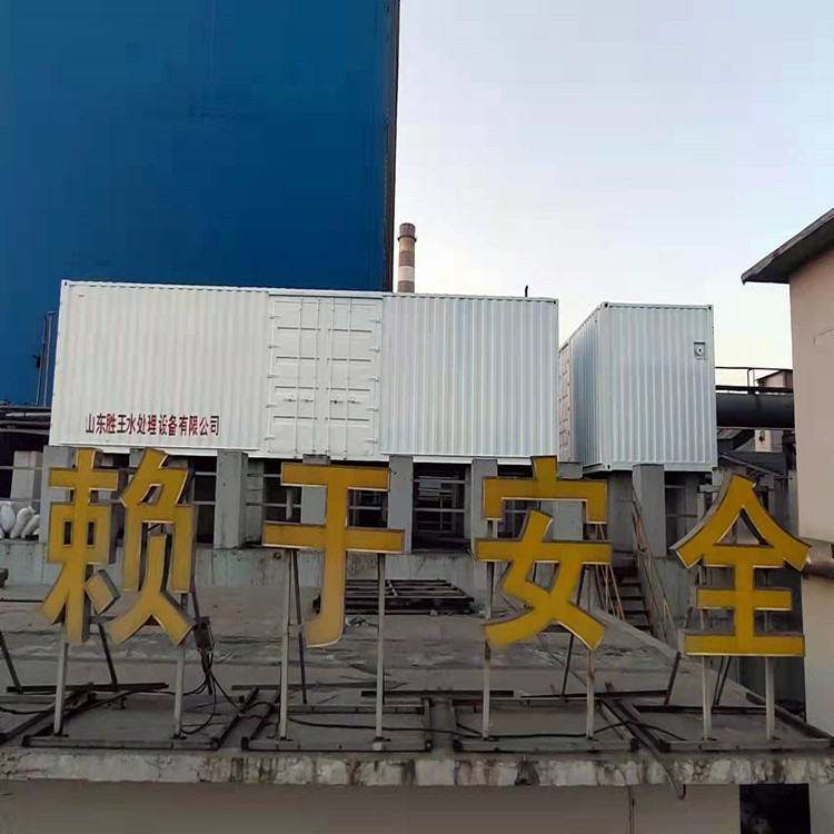 胜王水处理 一体化超滤设备 撬装式原水净化过滤装置