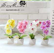 仿真花小蝴蝶兰盆景室内摆件厂家直供绢花一件代发仿真盆栽绿植