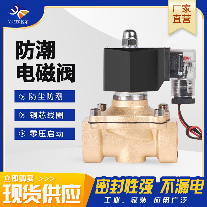 Normally closed outdoor waterproof electronic valve electronic control switch 220V direct action solenoid water valve air valve one-way solenoid valve
