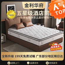 �Ƶ괲�|ϯ��˼���ɴ��|����ܛӲ�m��25cm��.8��.5�o�􏗻ɴ��|