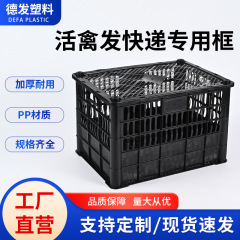 活禽发快递专用框带盖塑料周转筐透气小动物周转筐420*310*270