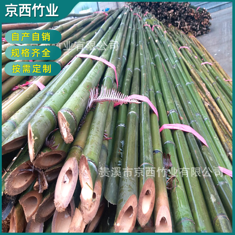 批发 苹果园用的果树支撑竹杆  果树支撑杆 厂家发货