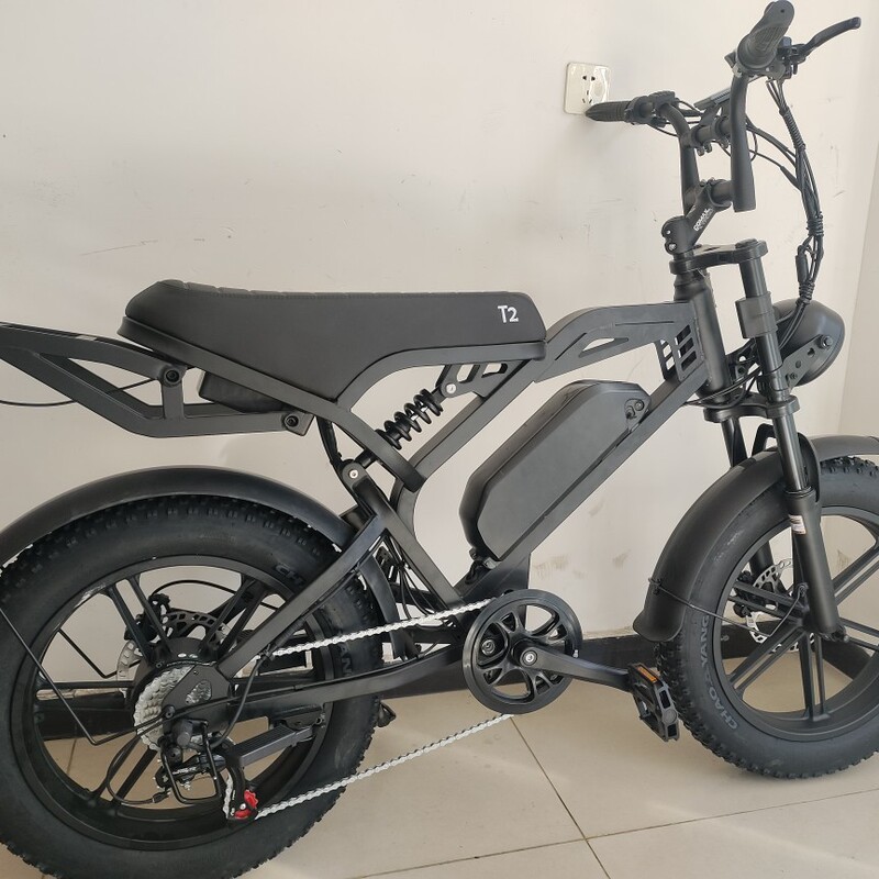 新エネルギー電動自転車電動アシスト自転車 2.0inch ファットタイヤスノービーチオフロード v8 電動バイクフロントとリアスープ|undefined