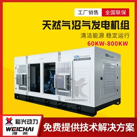 柴油发电机组;燃气发电机组;自吸泵