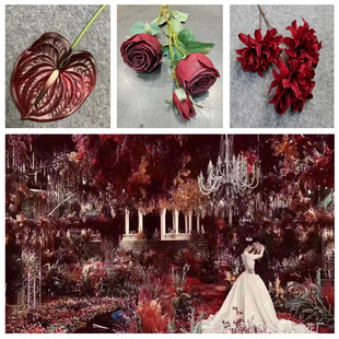 ��Y�ütɫ�Ƽt���tɫ���滨�� ��c�tɫ���滨 �Ƶ��b��߼ٻ�