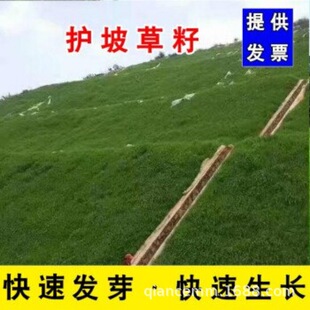 ���l�o���ļ����ƺ�N�ӹ�������Ľ���R���������������`̤���޼�