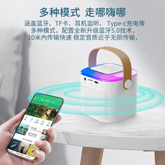 Bluetooth small speaker karaoke small audio wireless children's microphone home karaoke entertainment microphone audio all-in-one machine