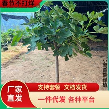 һloˮļش󲨼tϱ̨Nֲ