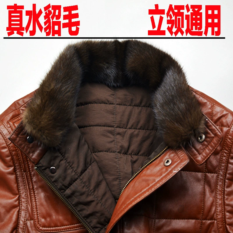 Universal collar, keep warm jacket