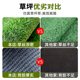 Simulation lawn carpet fake turf green plastic enclosure artificial grass bedding kindergarten artificial floor mat outdoor