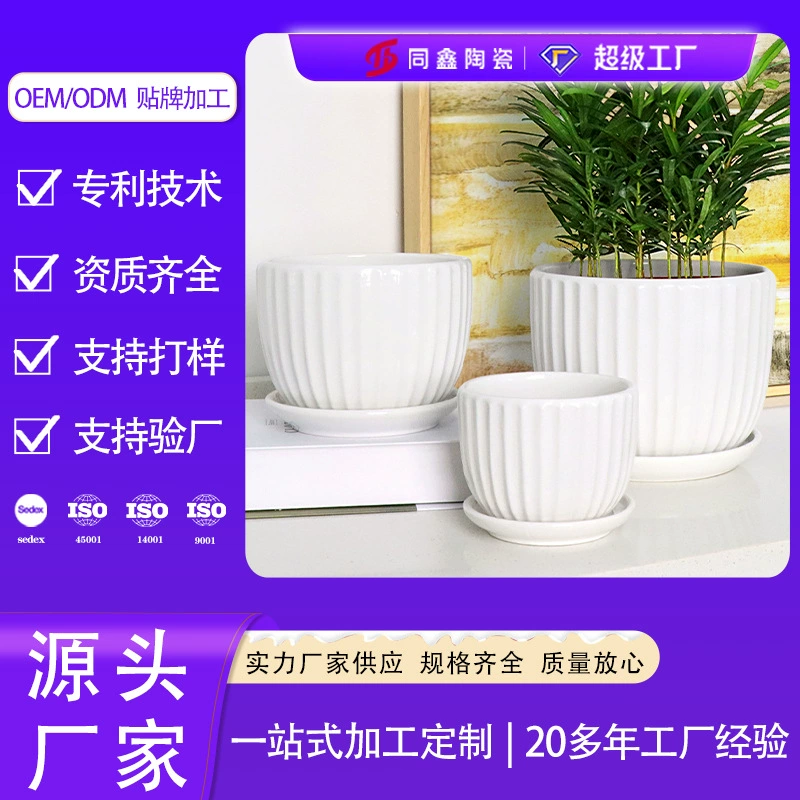 Обработка пользовательского логотипа Dehua Tongxin керамический цветочный горшок Amazon Юго-Восточная Азия Садоводческая чистая белая Персонализированная ваза