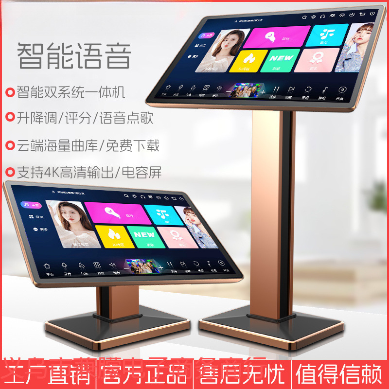 Wholesale Factory Direct Sales Tianpoint Karaoke Machine Home Ktv Karaoke Machine Home Karaoke Touch Screen All-In-One Singing Sound