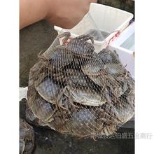 �Ӻ�ˮ�a�W���W���b�з�����ؐ���Ҵ��ӾW���b���lз���ýz�W��