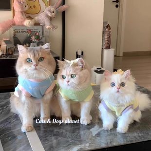 Cat Autumn and Winter Clothes Thickened Warm Fleece Coat Gold Graded Blue Cat Puppet fleece-lined Cold-proof Two-legged Coat