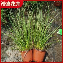 �G���o��С������β�݈@���^�p����ݻ���β�ݾG�����̻��ع���