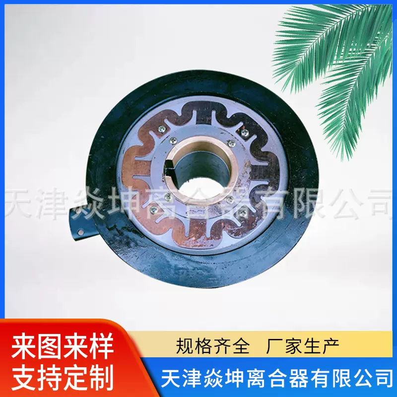 干式多片电磁离合器DLK1系列DLK1-10A-25A-40A-80A堆取料机用