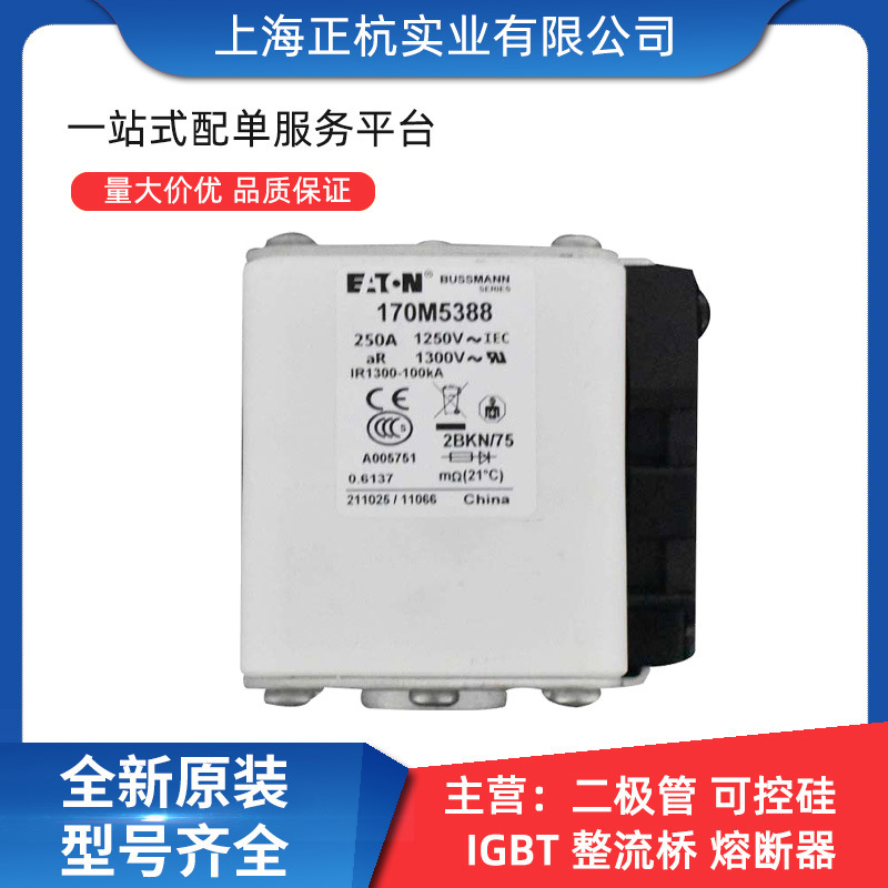 170M5388 170M5405 智能跌落式低压快速熔断器 全新原装 量大从优