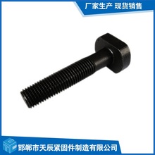 厂家直供高强度压板螺栓 T型螺丝 高强度T型螺栓 冲床铣床T型螺杆