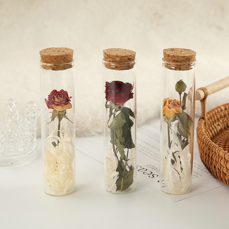 Rose True Dried Flower Test Tube Specimen All over the Sky Star Wish Bottle Decorative Ornaments Valentine's Day Christmas Gift for Girlfriend