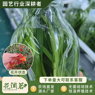 �л������m 0829 �����m11ƿ��M�����״���҃������Ի�������r