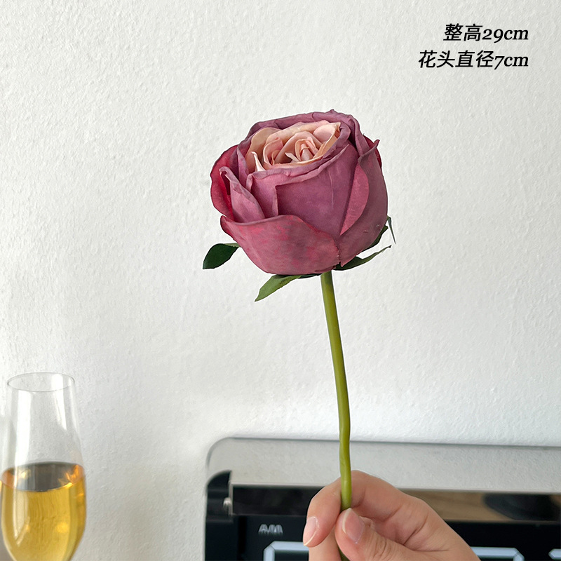 딥 퍼플 로스티드 엣지 다이아몬드 로즈 1개