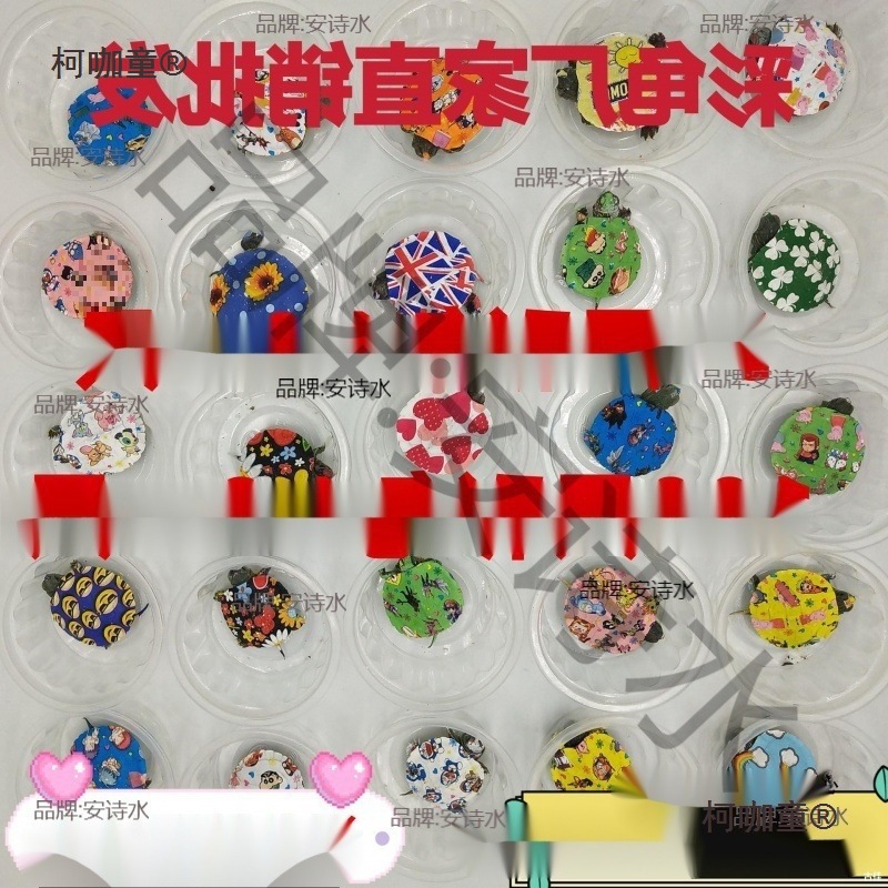 炫彩小乌龟活体网红情侣七彩乌龟 彩绘巴西彩龟活物 宠物龟麦太保