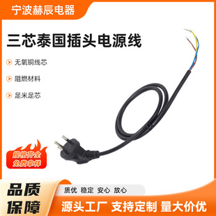 Manufacturer Wholesale Thai Three-Pin Plug Power Cord 16A250V Pure Copper Air Cooler Tea Bar Machine Refrigerator Cord Copper Core