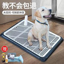 狗厕所宠物狗狗小型中型大型犬自动用品大清理防踩屎便尿尿盆专用