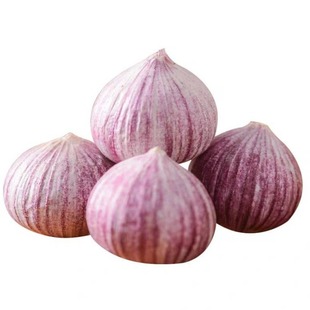 Yunnan Single-Headed Garlic Dali Purple-Skinned Single-Headed Garlic Farm Fresh Garlic Red-Skinned Fresh Garlic with Box Drop Shipping