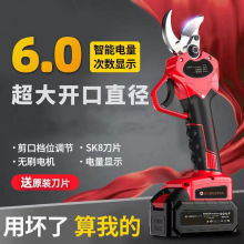 電剪刀樹枝修剪果樹剪子充電式強力粗枝無線鋰電全自動電動剪刀