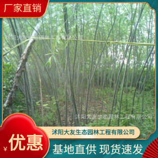 �������l �Ԯa���N������ ���^�쾰��·�@�ֹ��̾G����