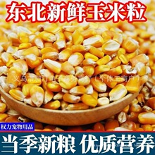 24���|����������10��ι�u�����ӼZ��~ᄾ��¼Z�����������ӼZ