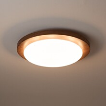 ����ʽӋ��������픟�����L����ľ�y�͹ſ͏d���o�۷��gLED����