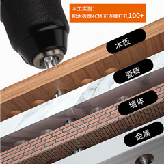 Cavewell 20V Double Battery Cordless Drill, Multi-Function Electric Tool, High Power Hammer Drill 219