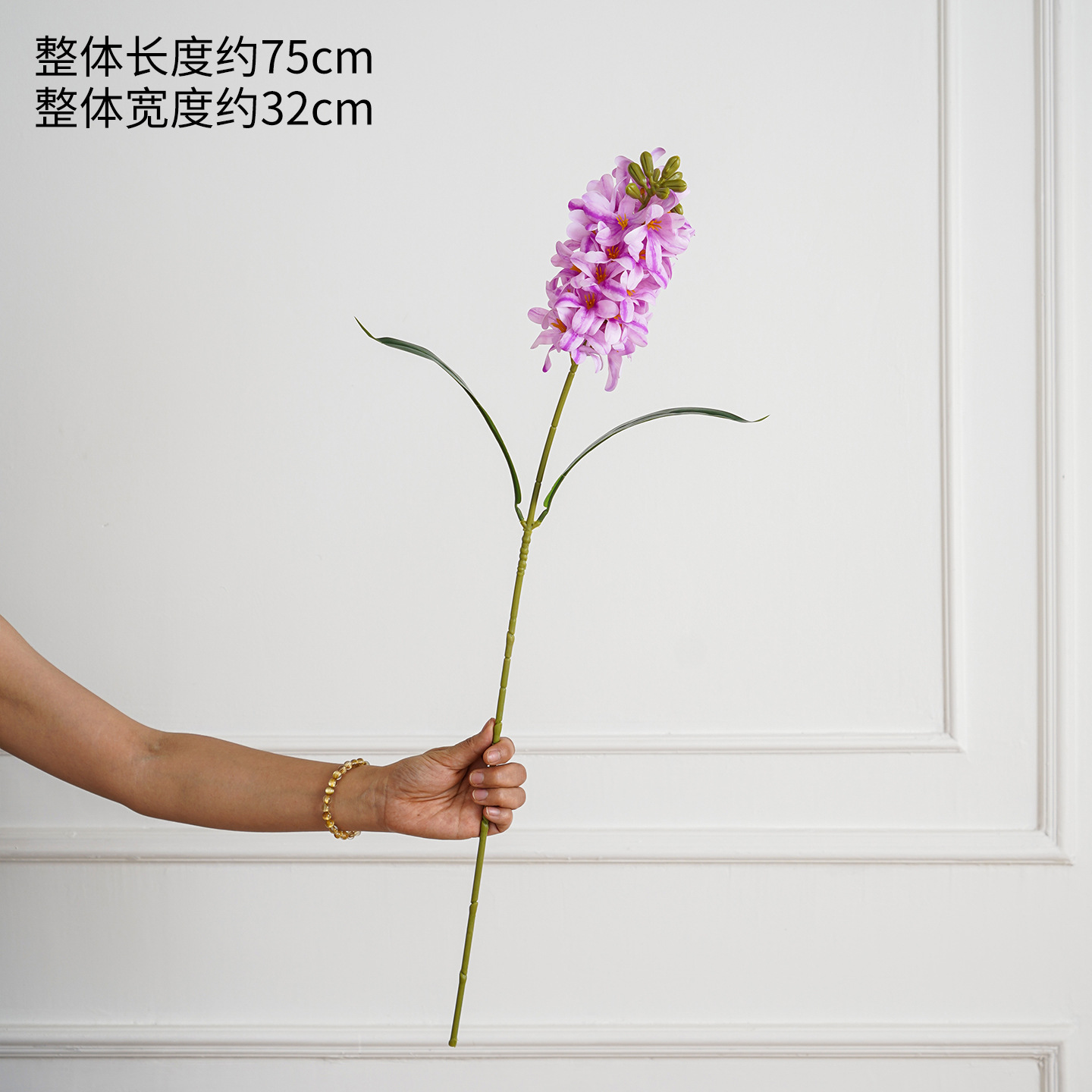 단일 히아신스 밝은 보라색