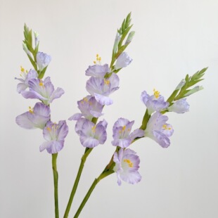 ���滨���m���߼��мٻ��͏d������ˇ�[���L֦��ػ�ƿ�b����컨