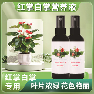 Special Nutrient Solution for Red Palms and White Palms, Smooth Sailing Nutrient Solution, Special Nutrient Solution for Red Palms, Special Fertilizer for White Palms