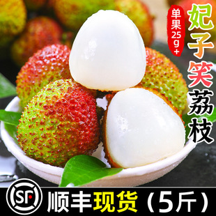 ��������Ц��֦5��ˮ��������]���������������֦