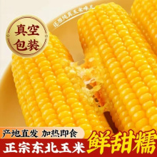 ���SŴ9�����ږ|���SŴ����������b���Ŵ���׺�Ŵ���װ�Ŵ����