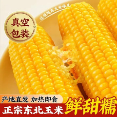 【黄糯9】正宗东北黄糯玉米整箱包装黏甜糯玉米黑糯玉米白糯玉米