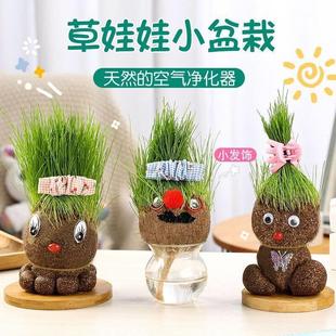 Creative Small Potted Desktop Cute Plant Fun Long Grass Doll Office Children's Hydroponic Green Plant