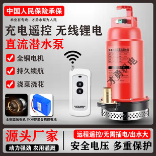 Rechargeable Remote Control Dc Submersible Pump 12V Lithium Water Pump Agricultural Irrigation Water Pump Stainless Steel Outdoor Pump