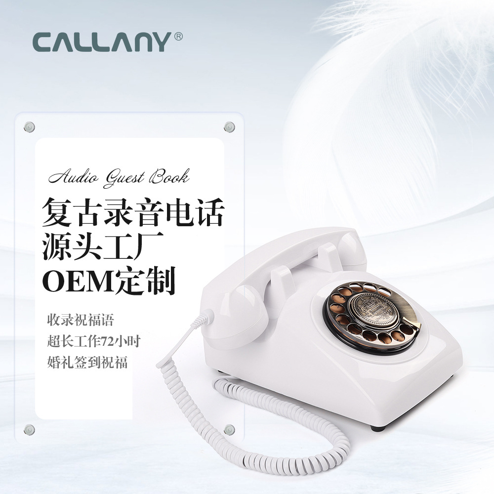 Retro To fake something antique Telephone wedding fixed Landline The bell Phone turntable Insert card Sound recording telephone wholesale Manufactor