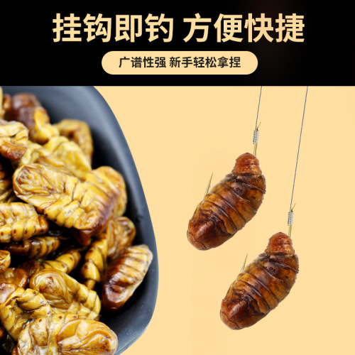 Silkworm chrysalis bait, live bait soaked in Chinese medicine to attract fish, herring, carp, grass carp, wild fishing giant bait