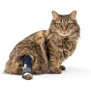 跨境热卖宠物护具猫咪后腿受伤辅助带猫护腿腿关节韧带撕裂康复带
