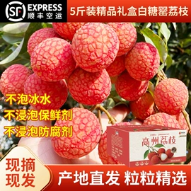 桂圆干;干果生货;荔枝