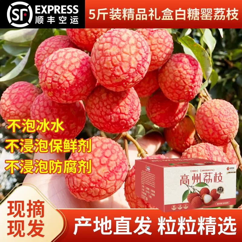 2025茂名高州当季新鲜现摘现发白糖罂荔枝5斤装顺丰冷链包邮
