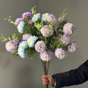 �羳���N���~Ħ���ĵ�����滨��șƷ�|؛ԴԴ�^���S���lܛ�b��c