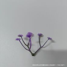 �S��ֱ�N���滨�������3��M���ǻ�����ٻ�ˇ�ֹ����h�b����